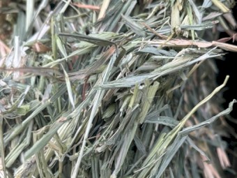 50mt Oaten Hay 650kg 8x4x3 Bales