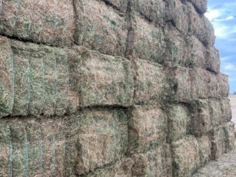 Pea hay 8x4x3