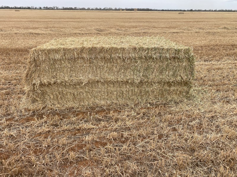 420mt Oaten Hay 660kg 8x4x3 Bales