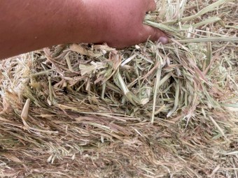 420mt Oaten Hay 660kg 8x4x3 Bales