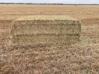 420mt Oaten Hay 660kg 8x4x3 Bales