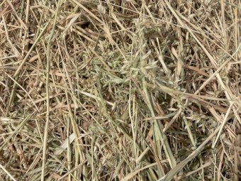 420mt Oaten Hay 660kg 8x4x3 Bales