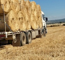 Wheat hay 5x4 Round bales