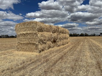 200mt Wheaten Hay 8x4x3 Bales