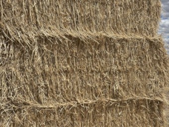 200mt Wheaten Hay 8x4x3 Bales