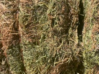 Vetch Oaten Rye mix (8x4x3)