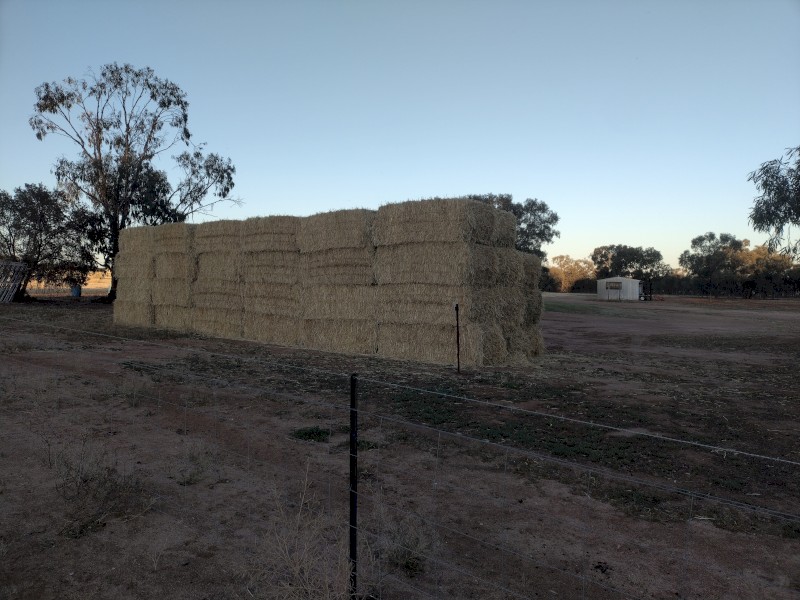 Oaten Hay large square bales