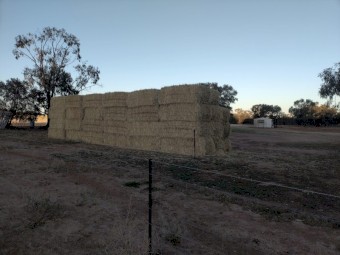 Oaten Hay large square bales