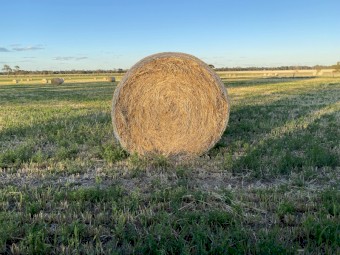 500 x Oaten/Lucerne mix 5x4 Round Bales