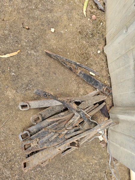 Donald Steel Lentil Lifters x 39