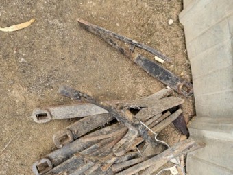 Donald Steel Lentil Lifters x 39