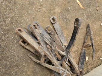 Donald Steel Lentil Lifters x 39