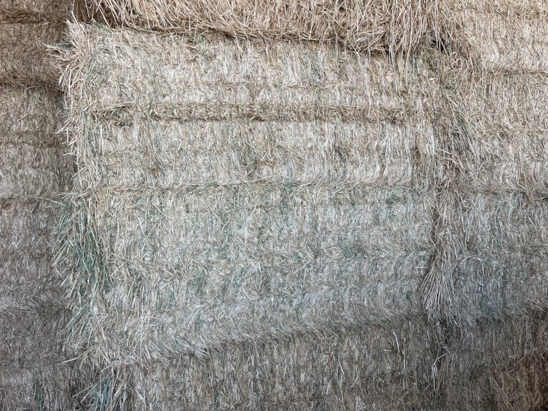 250mt Barley Hay 8x4x3 Bales
