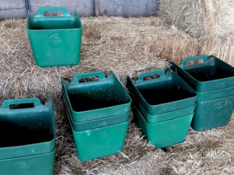 Feeder Bins x 12 - Previously Used for Feeding Sheep for Showing Purposes