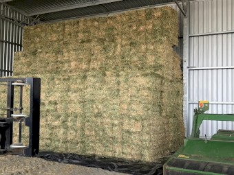  New seasons oaten hay