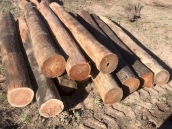 Ironbark Strainers and Split Posts