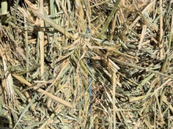 Wheaten Hay 650kg+ 8x4x3 Bales