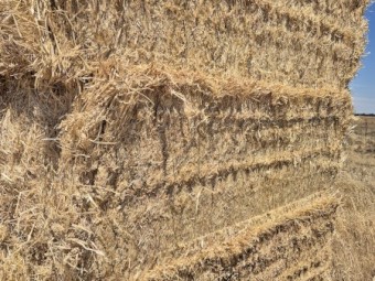 Barley Straw/Header Tailings