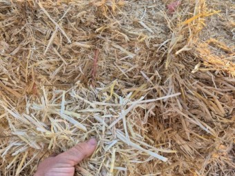 Barley Straw/Header Tailings