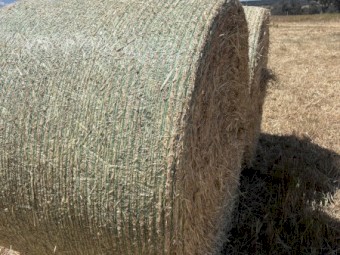 Oaten Hay 5x4 Round Bales