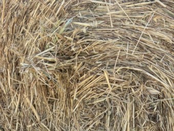 Oaten Hay 5x4 Round Bales