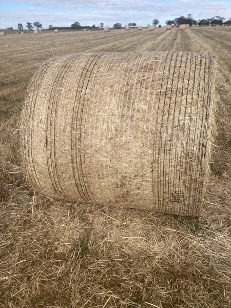 Vetch/Grass Hay - 