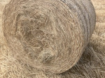 New Season Oaten Hay