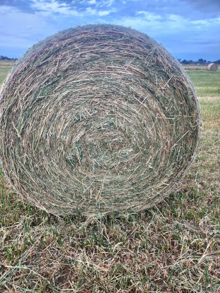 Oaten Hay 5x4 Round Bales