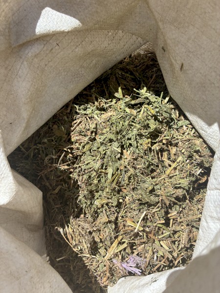 200mt Vetch Hay 720kg 8x4x3 Bales