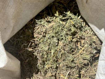 200mt Vetch Hay 720kg 8x4x3 Bales