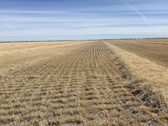 400mt Barley Straw 8x4x3 Bales