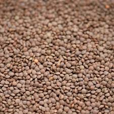WANTED Lentils 250MT-5000MT