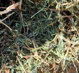 300 x Vetch Hay 5x4 Round Bales