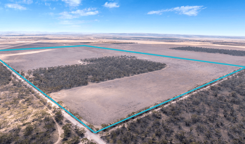 WANTED Lease Cropping or Grazing/Share Farming