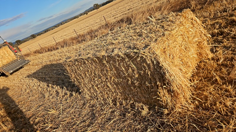 27mt Oaten Hay 540kg 8x4x3 Bales
