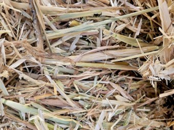 27mt Oaten Hay 540kg 8x4x3 Bales