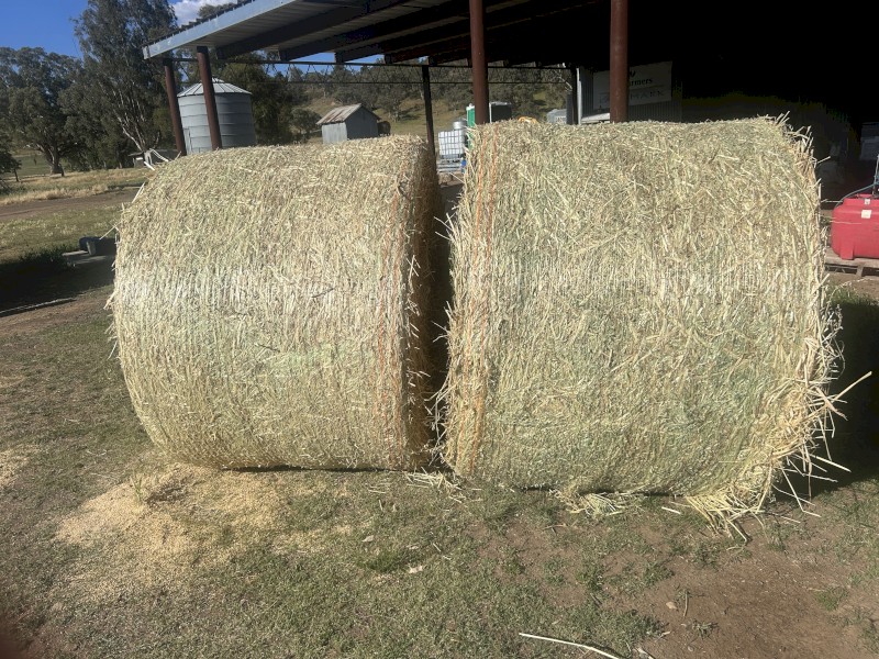 Oaten hay with Vetch for Sale