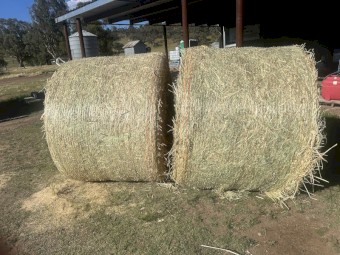 Oaten hay with Vetch for Sale