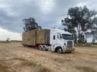 Small oaten hay bales in baron packs
