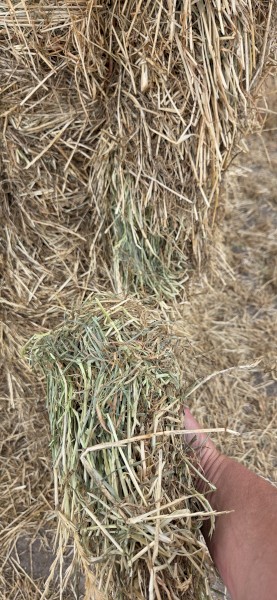 167mt Ryegrass Hay 670kg 8x4x3 Bales