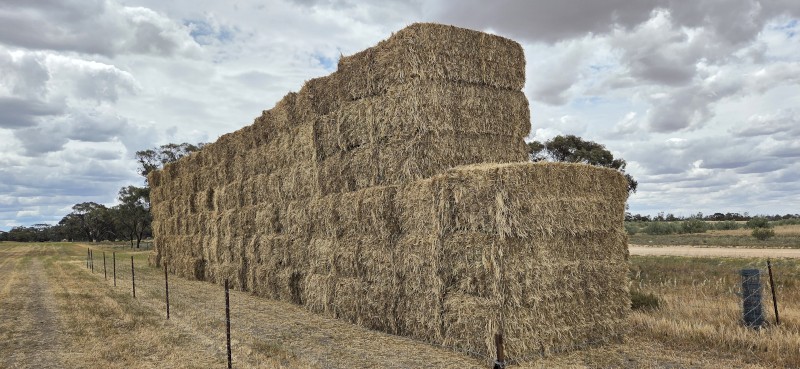 167mt Ryegrass Hay 670kg 8x4x3 Bales