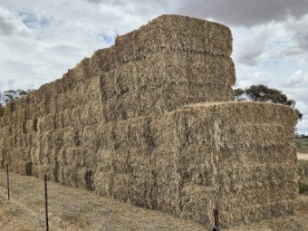 167mt Ryegrass Hay 670kg 8x4x3 Bales