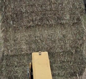 167mt Ryegrass Hay 670kg 8x4x3 Bales