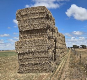103mt Wheaten Hay 715kg 8x4x3 Bales