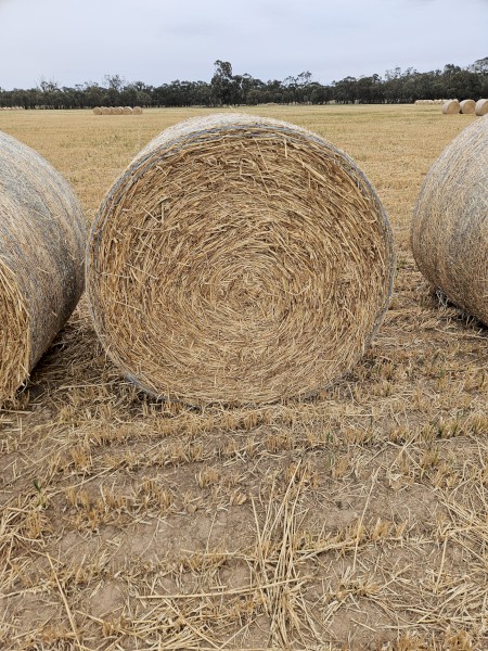 70 x Yallara Oaten Hay Round Bales