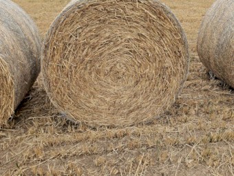70 x Yallara Oaten Hay Round Bales