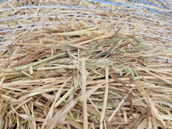 70 x Yallara Oaten Hay Round Bales