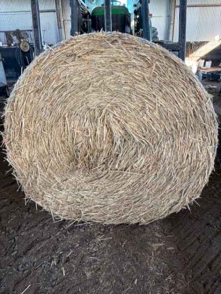 420 x Wheaten Hay 500kg 5x4 Bales