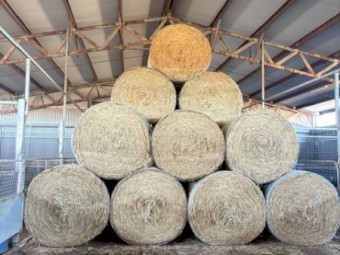 420 x Wheaten Hay 500kg 5x4 Bales