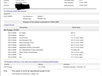 1000mt Wheaten Hay 600kg 8x4x3 Bales